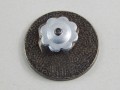DSCN6552.JPG