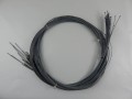 DSCN6078.JPG