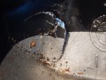 DEKIEL POKRYWA KAPA ZAWORÓW BMW WYPRZEDAŻ