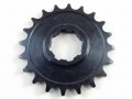 DSCN6597.JPG