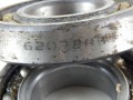 DSCN7108.JPG