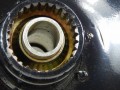 DSCN7273.JPG