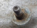 DSCN7778.JPG