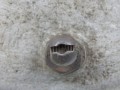 DSCN7779.JPG