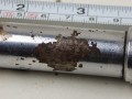 DSCN8387.JPG
