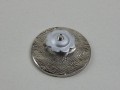 DSCN8583.JPG