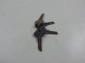 DSCN9144.JPG