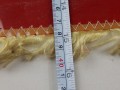 DSCN9299.JPG