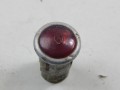 DSCN0497.JPG