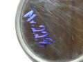 DSCN0820.JPG