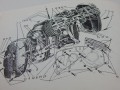 b17a439b37ab53e518e475f9a319f8ca