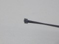 DSCN6149.JPG