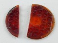 DSCN6316.JPG