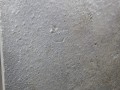 DSCN7837.JPG