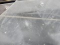 DSCN8662.JPG