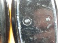 DSCN9273.JPG